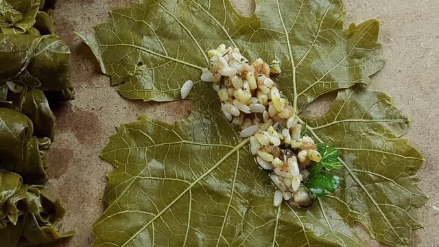 Dolma,sarma- traditional turkish food