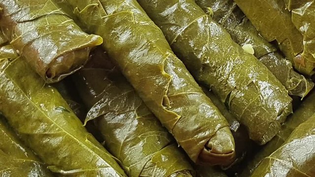 Dolma,sarma- traditional turkish food