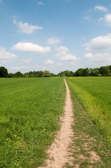 Fototapeta na wymiar Countryside footpath at a wide angle