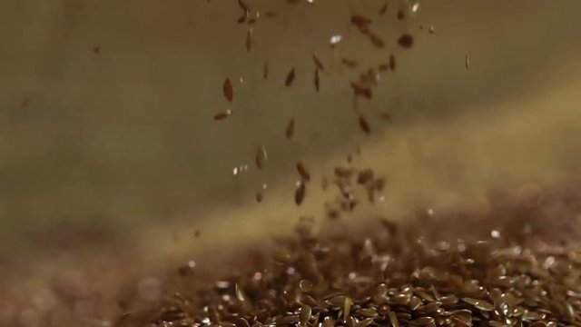 Oil developing plant, beautiful healthy flax seeds falling in pile, slow motion