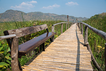 Obraz premium bamboo bridge walkway through the green forest