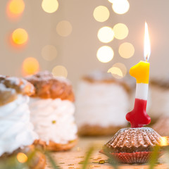 Party of celebration the first birthday