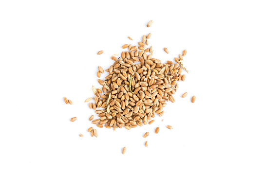 Wheat seeds isolated on white. Flat lay.
