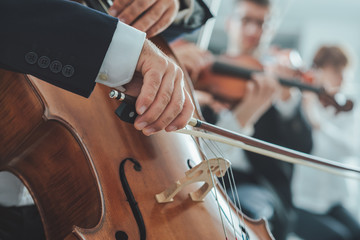 Cello player's hands close up