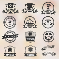 Collection of Premium Quality Labels retro vintage styled design, Labels retro icon, Labels vector illustration