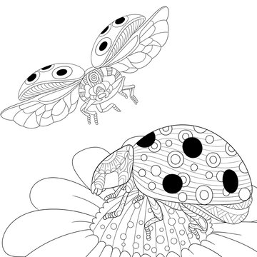 Zentangle stylized cartoon flying ladybugs and daisy flower. Hand drawn sketch for adult antistress coloring page, T-shirt emblem, logo or tattoo with doodle, zentangle, floral design elements.