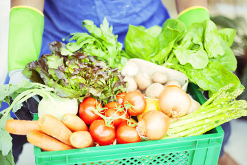 Man holding crate with fresh organic vegetables