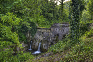 Fototapeta na wymiar Old dam in deep forest