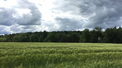 Obraz premium Hochsitz