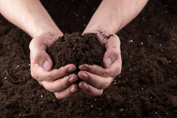 Soil in hands