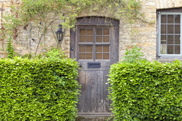 Fototapeta na wymiar Old brown wooden door in traditional honey comb stone cottage with green beech hedge in front, in rural Cotswold village