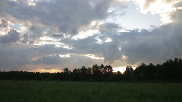 Dawn in a field with grass