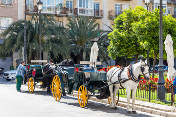 Fototapeta na wymiar Horse carriage in the city of Valencia, Spain