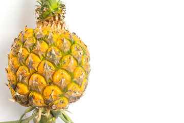 Closed up Pineapple on white background