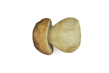 Set of images with mushrooms on white background