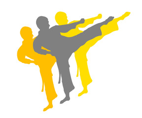 Panele Szklane  Karate - 82