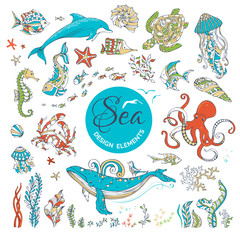 Obraz premium Vector set of cartoon wild underwater sea life.