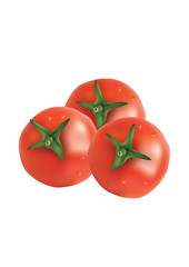 Photo realistic illustration of red fresh tomatoes. Vector illustration.