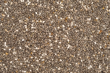 Close view of chia seed