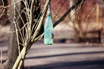 Reuse of resources. Feeder from a plastic bottle.