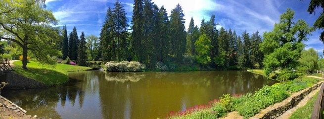 Nature panorama