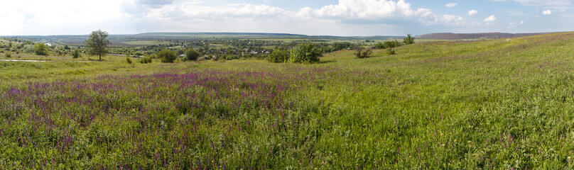 Fototapeta na wymiar Photo panorama of fields on a sunny day. 