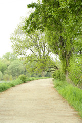 Obraz premium Footpath in a green park