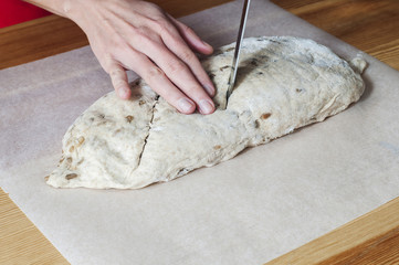Homemade bread: female hands kneading and cutting dough. 