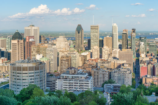 Montreal city skyline from Mont-Royal lookout