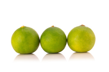 limes  isolated on white background