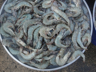 Fresh raw seafood and shrimp, thai market