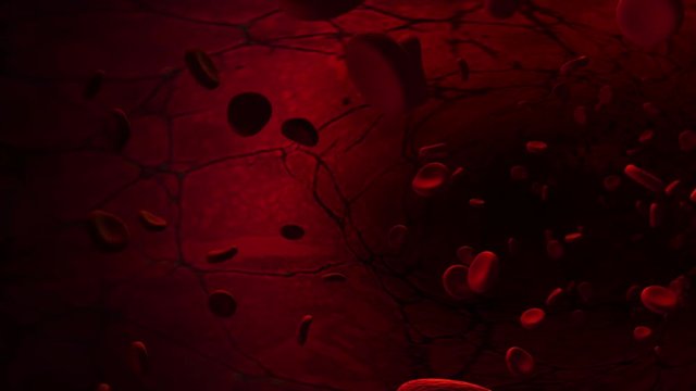 Red blood cell in artery.
