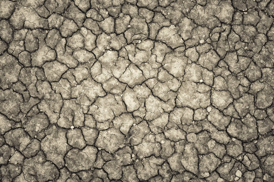 Land with a dry cracked ground , season water shortage.