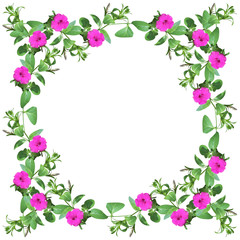 Beautiful floral background. Petunia. Isolated 