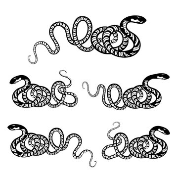 Vector set of snakes. Snake silhouette Animal reptile patterned coloring collection