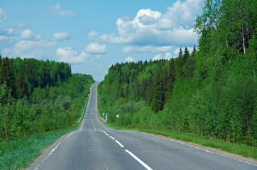 road in Russian forest
