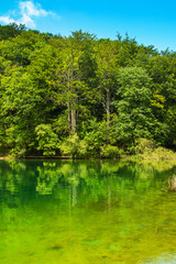 Fototapeta na wymiar Beautiful landscape, clear green water in the Plitvice Lakes National Park in Croatia 