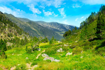 Naklejka na ściany i meble picturesque valley in high mountains