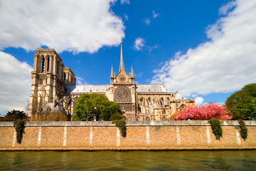 Obraz premium Paris, cathédrale Notre-Dame au printemps 