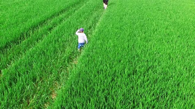 Aerial view of overweight father and son running together on track in green fields. Healthy lifestyle, slimming and outdoor sport. Family enjoying life on countryside.