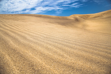 Sandy dunes in famous natural Maspalomas beach, Gran Canaria. Sp