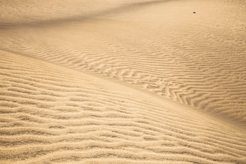 Sandy dunes in famous natural Maspalomas beach, Gran Canaria. Sp