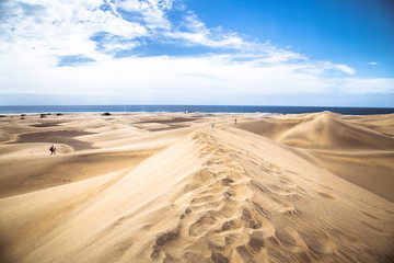 Fototapeta na wymiar Sandy dunes in famous natural Maspalomas beach, Gran Canaria. Sp