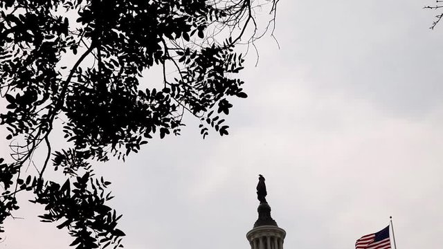 Campidoglio (Capitol) a Washington DC, Stati Uniti D'America