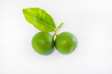 Green Lemons isolated on white background