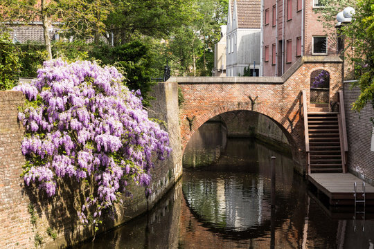 Den Bosch Nederland