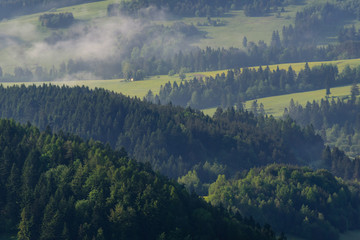 Landscape in Pieniny 