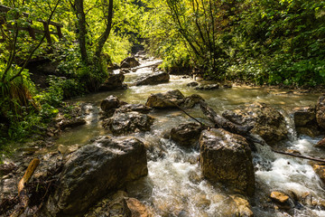 Wąwóz Homole © kabat