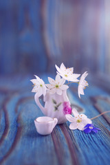Bouquet of Anemone, windflower in miniature, diminutive jug. Macro close-up photo with soft focus. Rustic colored wooden background, boke effect in summer morning