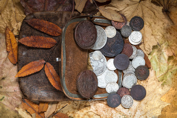 contents of an ancient leather purse with copper and silver coins of 18-20 centuries against autumn leaves